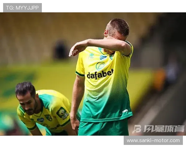 诺维奇黄绿风暴